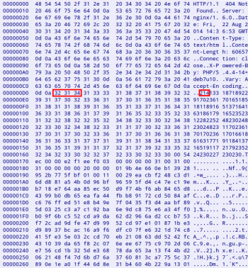 SmokeLoader response
